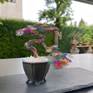 Rainbow Shohin