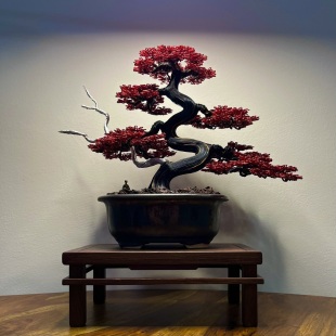 Red Maple II.