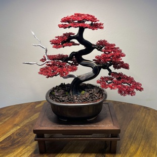 Red Maple II.