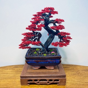 Red Maple III