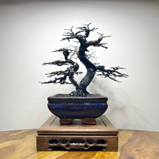 Red Maple III