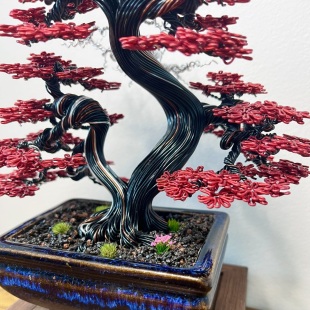 Red Maple III