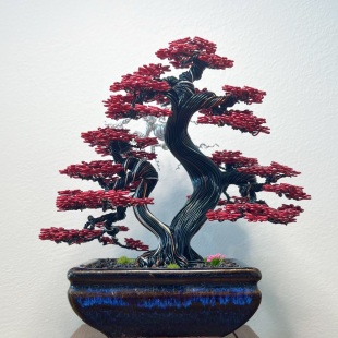 Red Maple III