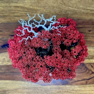 Red Maple III