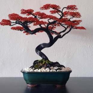 Red Maple