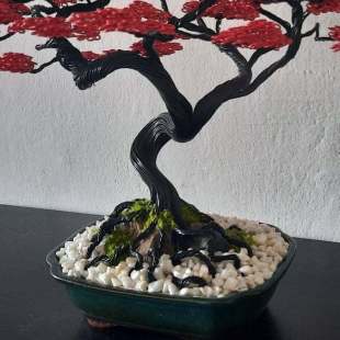 Red Maple