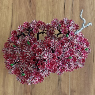 Sakura (custom)