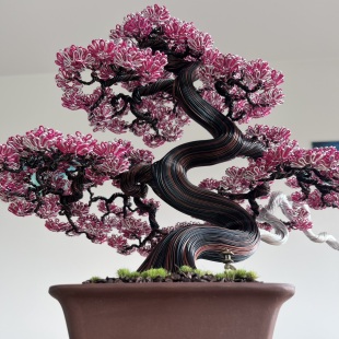 Sakura (custom)