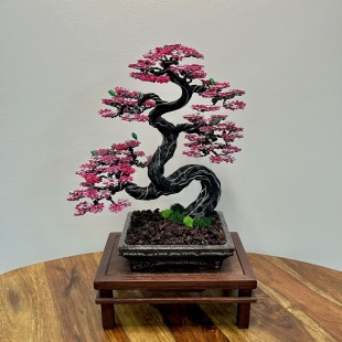 Sakura II.