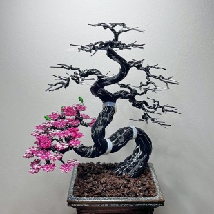 Sakura II.