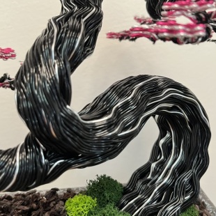 Sakura II.