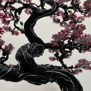 Sakura II.