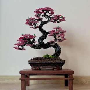 Sakura II.
