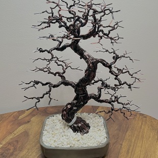 Sakura III.
