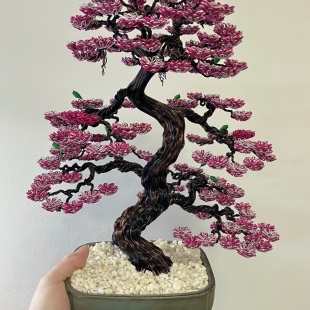Sakura III.