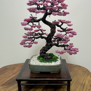Sakura III.