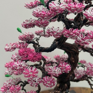 Sakura III.
