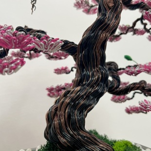 Sakura III.