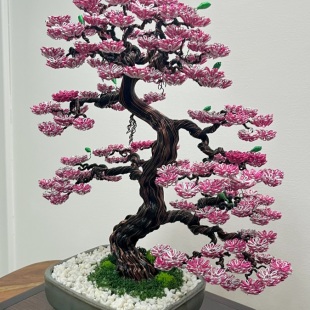 Sakura III.