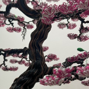 Sakura III.