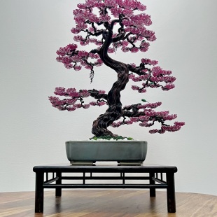 Sakura III.