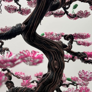 Sakura III.