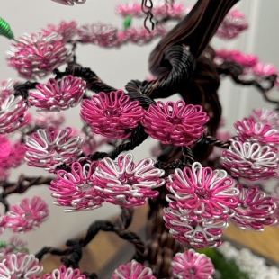 Sakura III.
