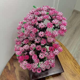 Sakura III.