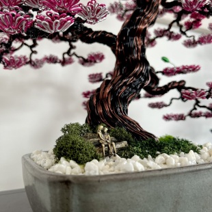 Sakura III.