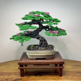 Sakura IV