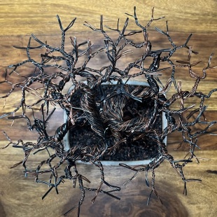 Sakura IV