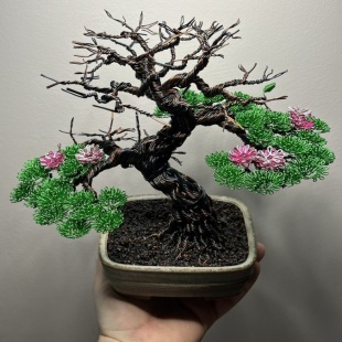 Sakura IV
