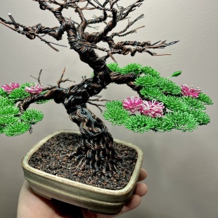 Sakura IV