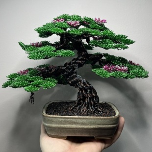 Sakura IV