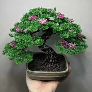 Sakura IV
