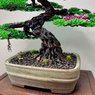 Sakura IV