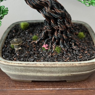 Sakura IV