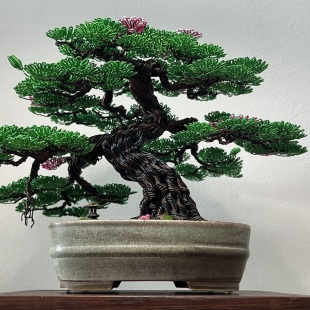 Sakura IV