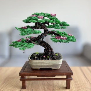 Sakura IV