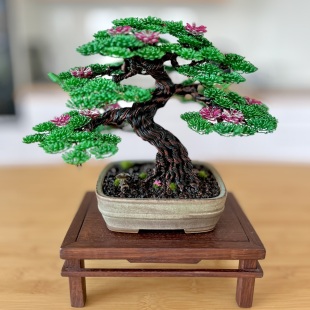 Sakura IV