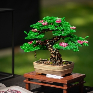 Sakura IV