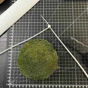 Sakura Semi-cascade