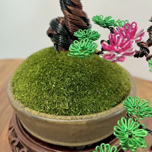 Sakura Semi-cascade
