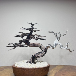 Sakura Shohin