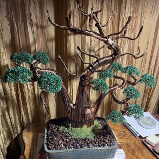 Shaka Pine