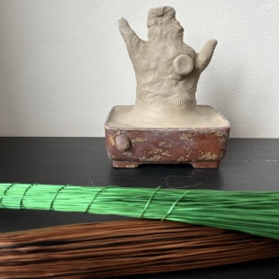 Shaka Pine