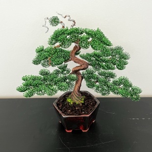 Shohin Bark I