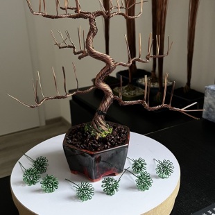 Shohin Bark I