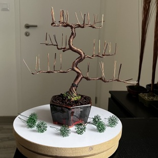 Shohin Bark I
