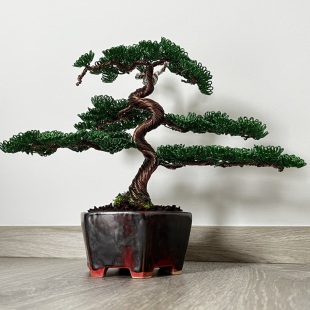 Shohin Bark I